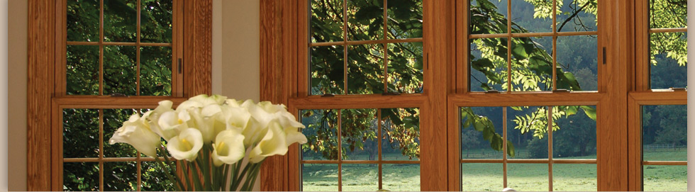 Stanek Replacement Windows Products
