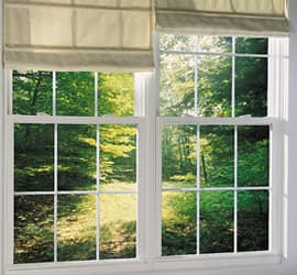 single hung window picture
