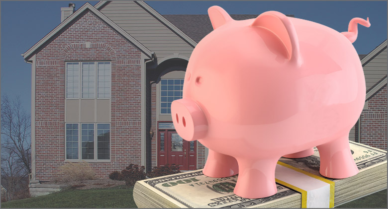 Residential home with Stanek Windows and a piggy bank sitting on a stack of paper money