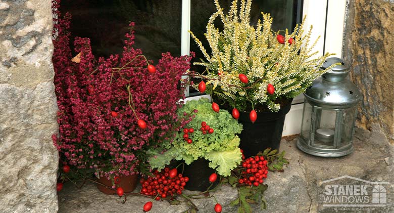 Holiday décor on a window ledge with potted plants, dried berries, and a silver lantern with a candle.