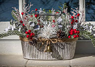 holiday window boxes