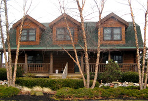 Log Home Windows