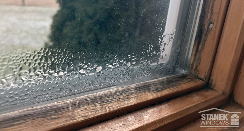 How to Clean Mold from Window Sills - Advantage Pro Services