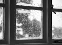 Condensation Buildup Between Window Glass Layers