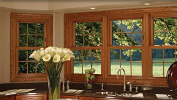 Double-Hung Windows