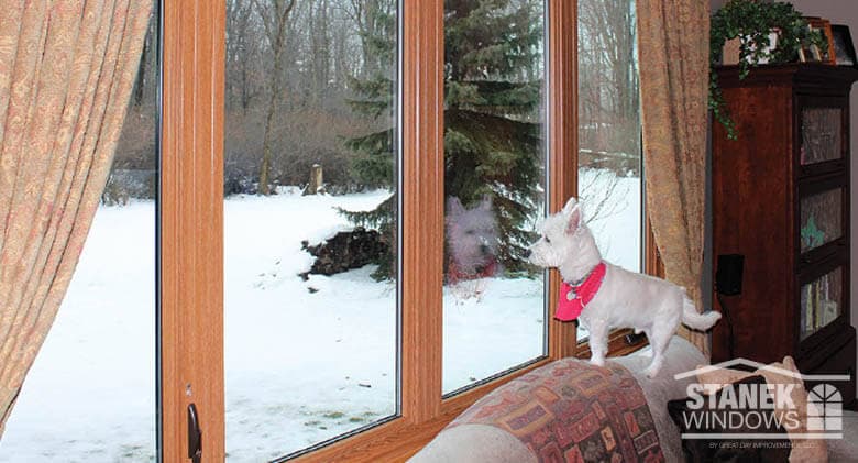 Vinyl Window picture with dog