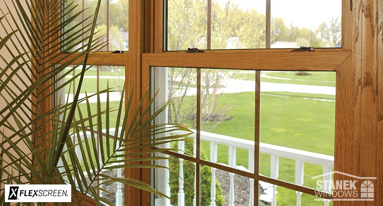 Double-Hung Windows