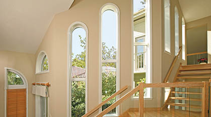 Custom Shape Windows