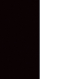 Black/White