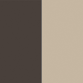 Bronze /  Tan