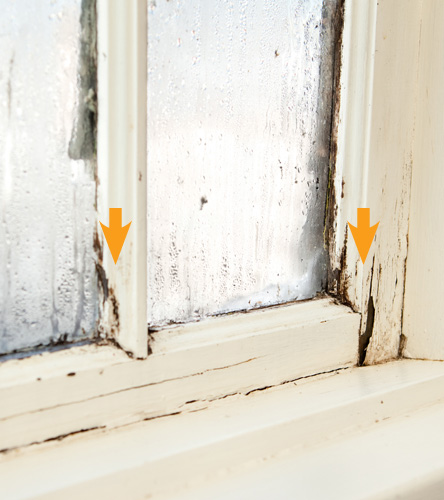 Wood rotting window