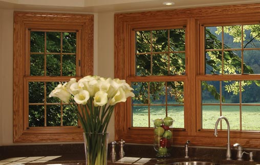 Stanek Wood Window Series Vinyl Woodgrain Windows